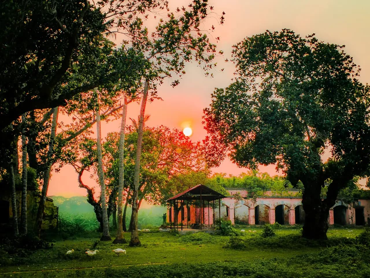আমঝুপি নীলকুঠি, মেহেরপুর — Amjhupi Nilkuthi Meherpur