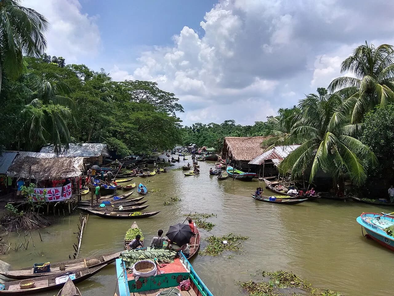 ভীমরুলির ভাসমান পেয়ারা বাজার, ঝালকাঠি — Bhimruli Floating Guava Market, Jhalokathi, Barisal