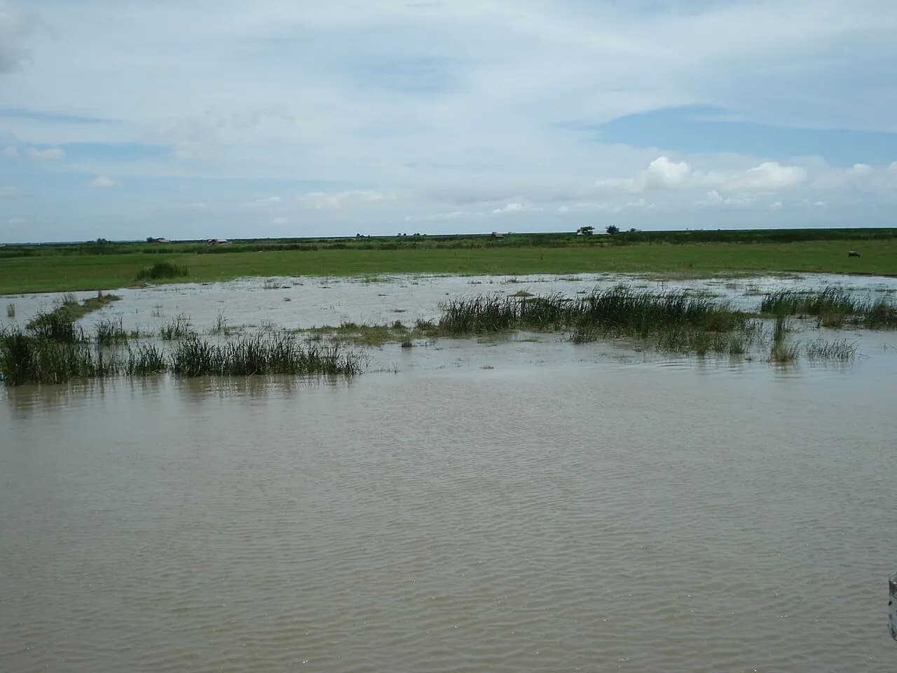 Bhola Island — photo