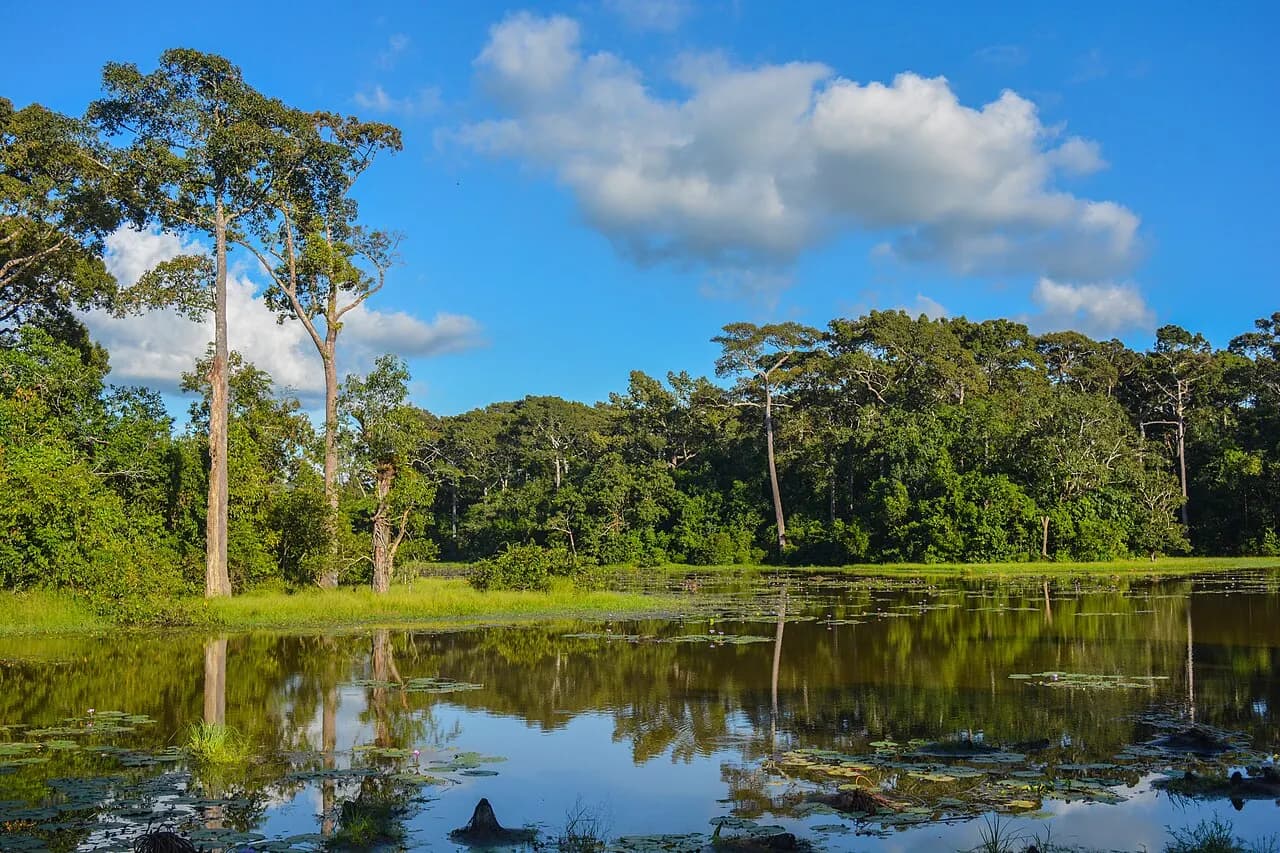 ডুলাহাজারা সাফারি পার্ক, কক্সবাজার — View of Dulahazra Safari Park, Bangladesh