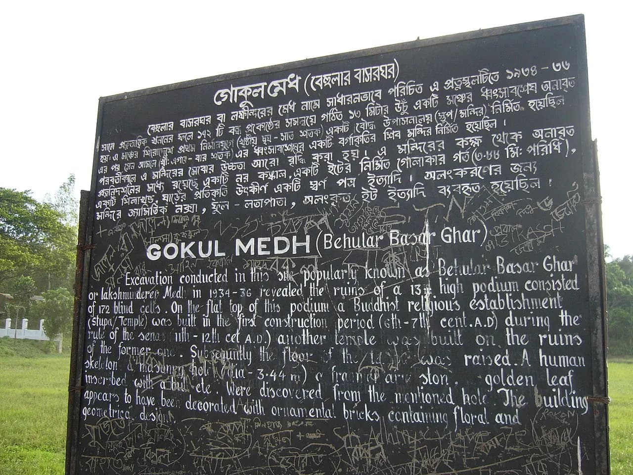 গোকুল মেধ — ছবি