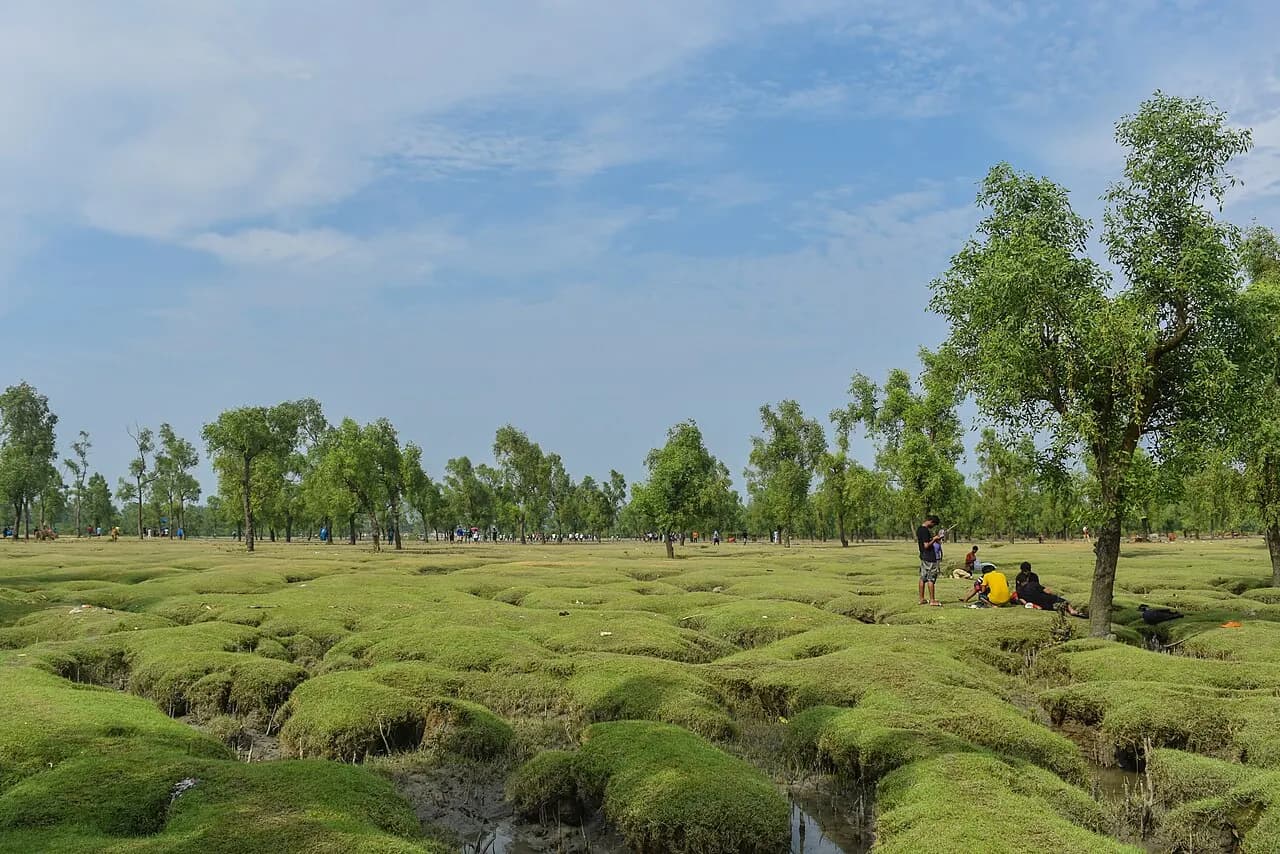 গুলিয়াখালী সৈকত, চট্টগ্রাম — Guliakhali Sea Beach, Sitakundu