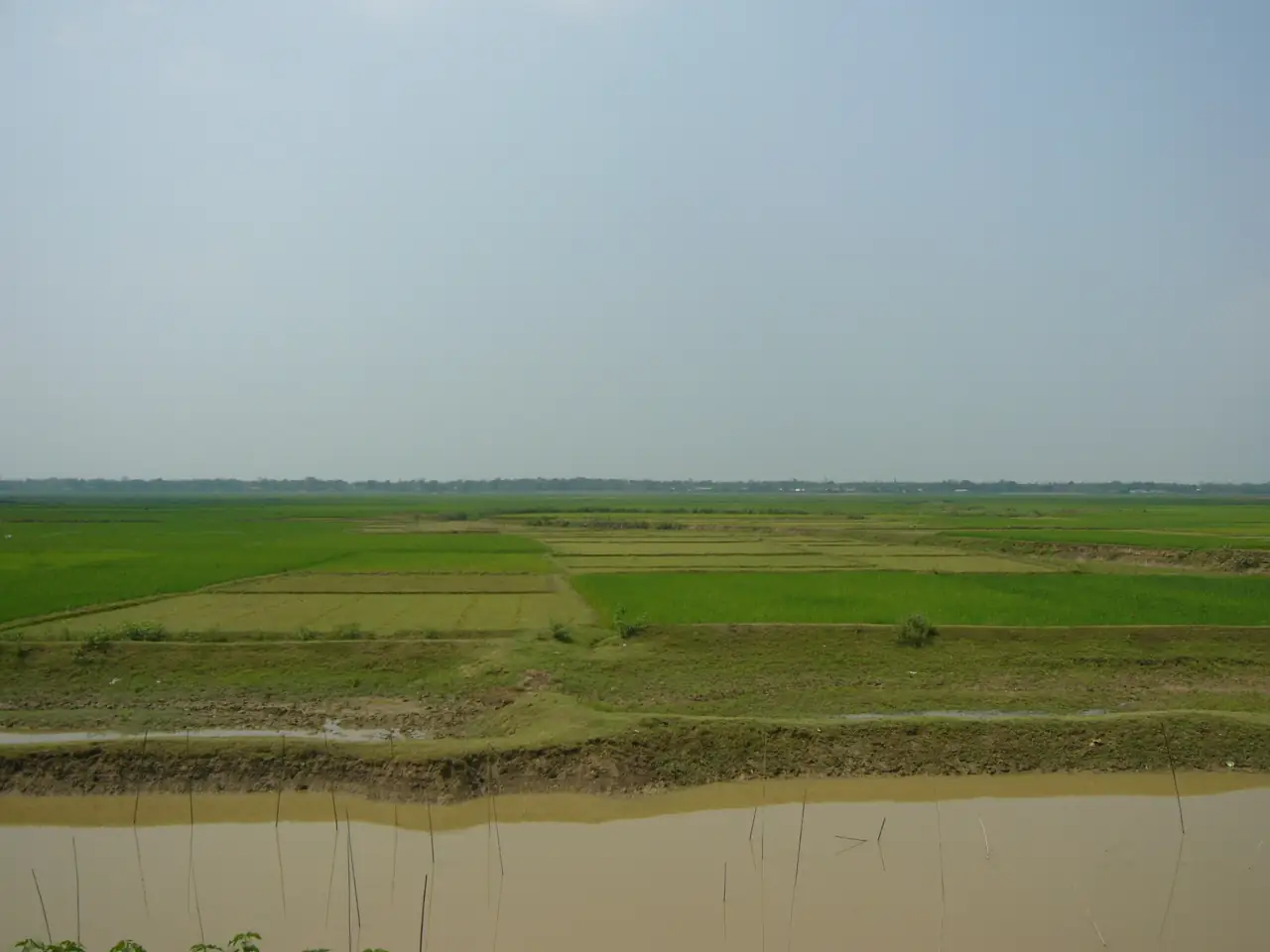 হাকালুকি হাওর, মৌলভীবাজার — Author: Shahnoor Habib Munmun