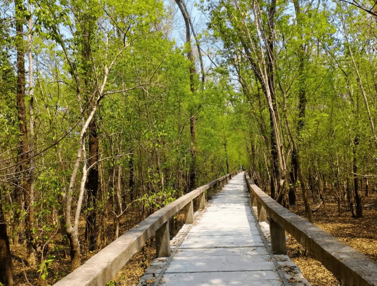 হরিণঘাটা বন ও ইকোপার্ক, বরগুনা — Haringhata forest