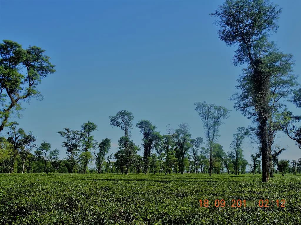 জাফলং, সিলেট — jaflong is most beautiful place in the seylet.