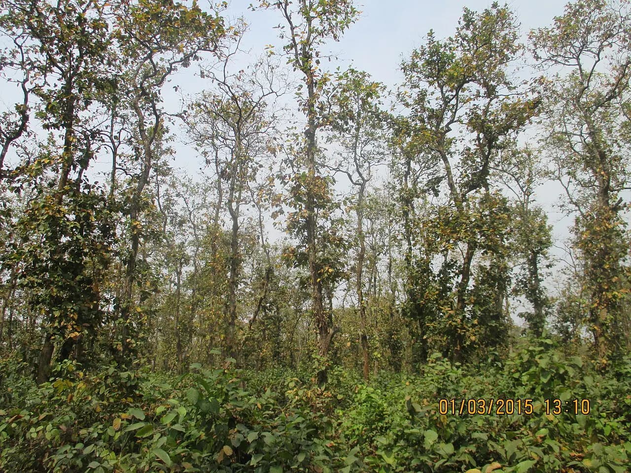 কাদিগড় জাতীয় উদ্যান — ছবি
