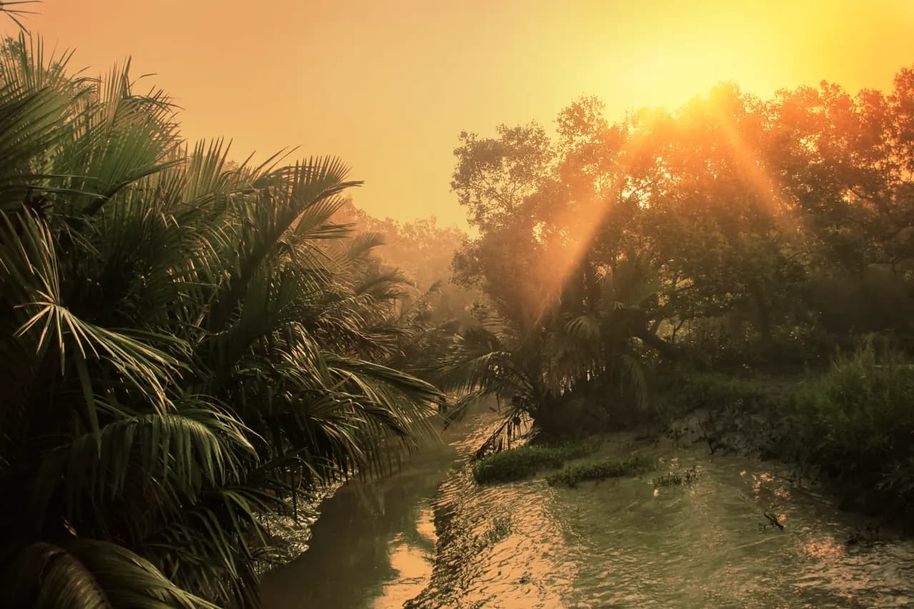 করমজল, বাগেরহাট — Before Sunset - Karamjal at Sundarbans