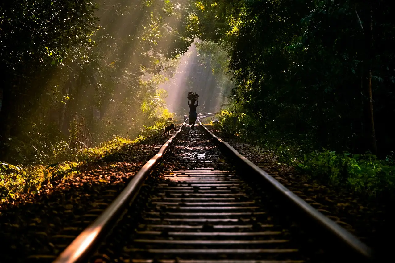 লাউয়াছড়া জাতীয় উদ্যান, মৌলভীবাজার — Life around jungle