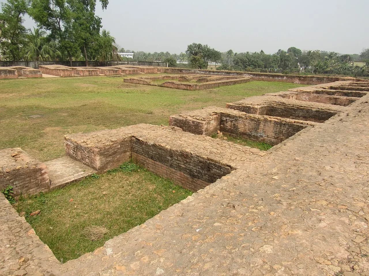 লতিকোট মুড়া — ছবি