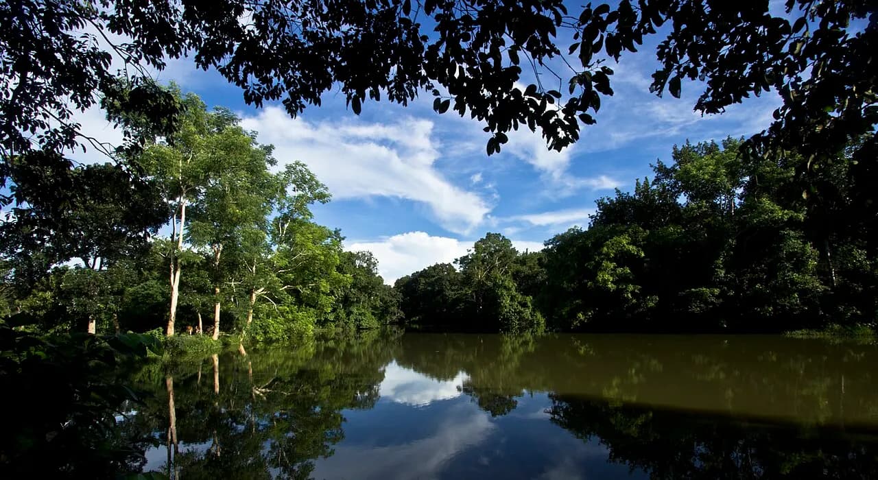 রেমা-কালেঙ্গা বন্যপ্রাণী অভয়ারণ্য, হবিগঞ্জ