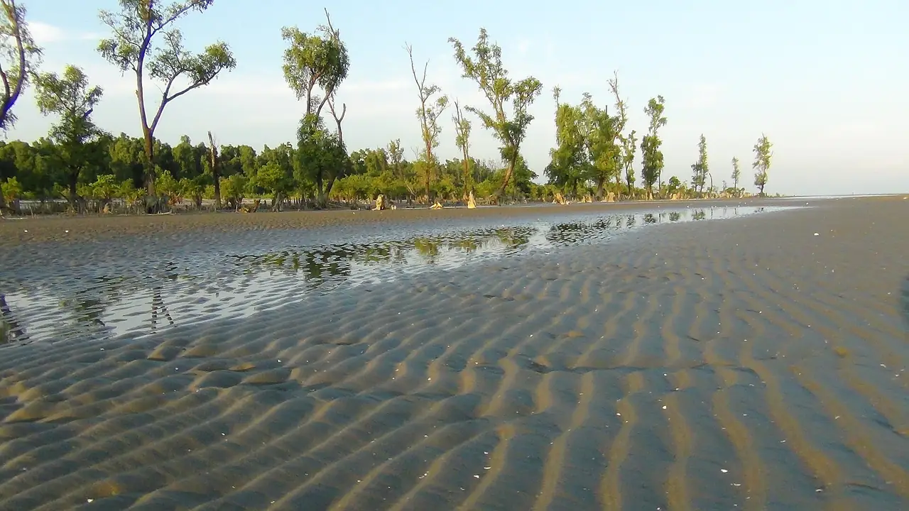সোনারচর, পটুয়াখালী