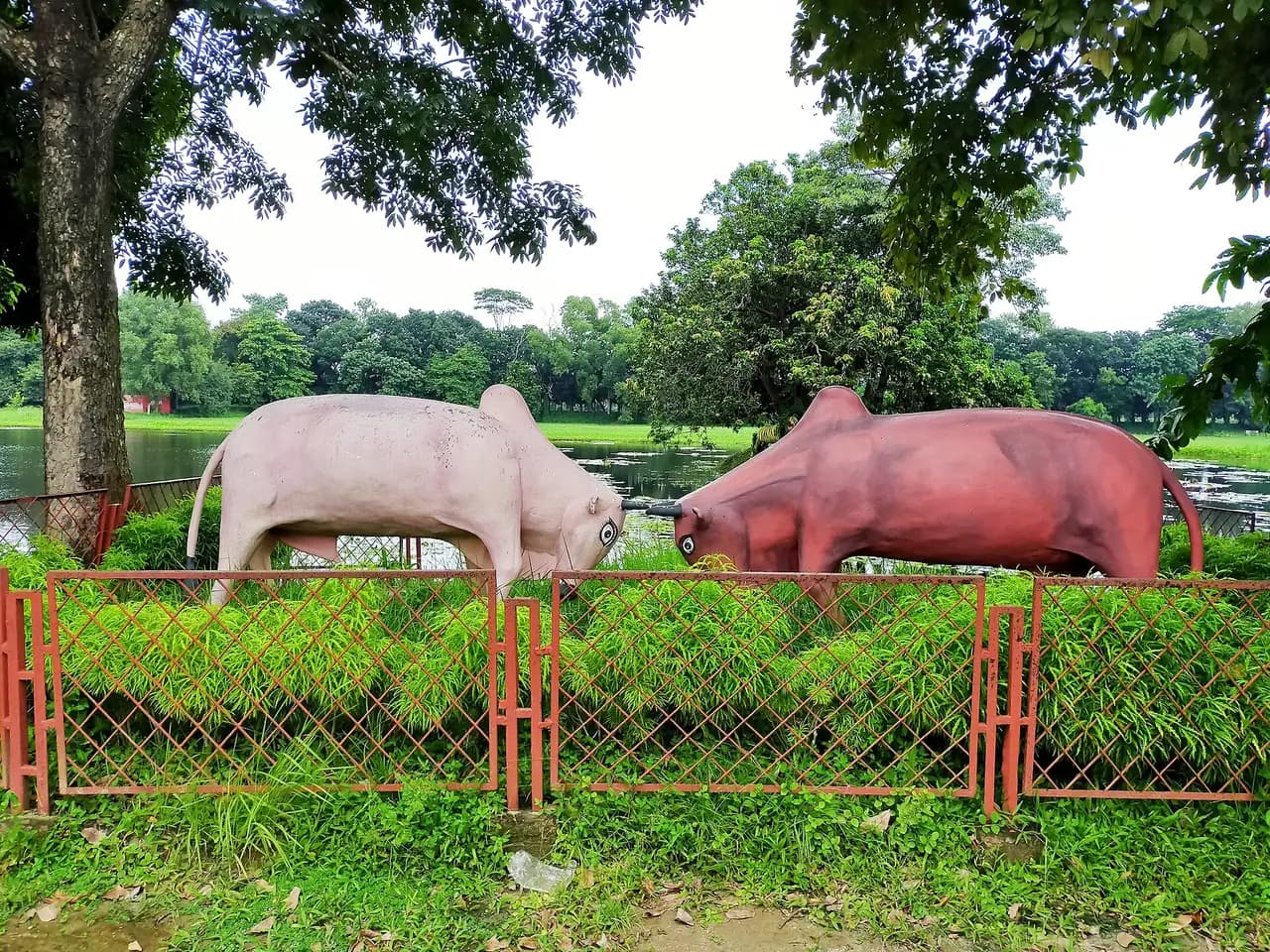 লোক ও কারুশিল্প জাদুঘর, সোনারগাঁও, নারায়ণগঞ্জ — Bullfighting Statue at Shilpacharjo Zainul Abedin Folk Arts and Crafts Museum, Sonargaon, Narayanganj, Bangladesh.