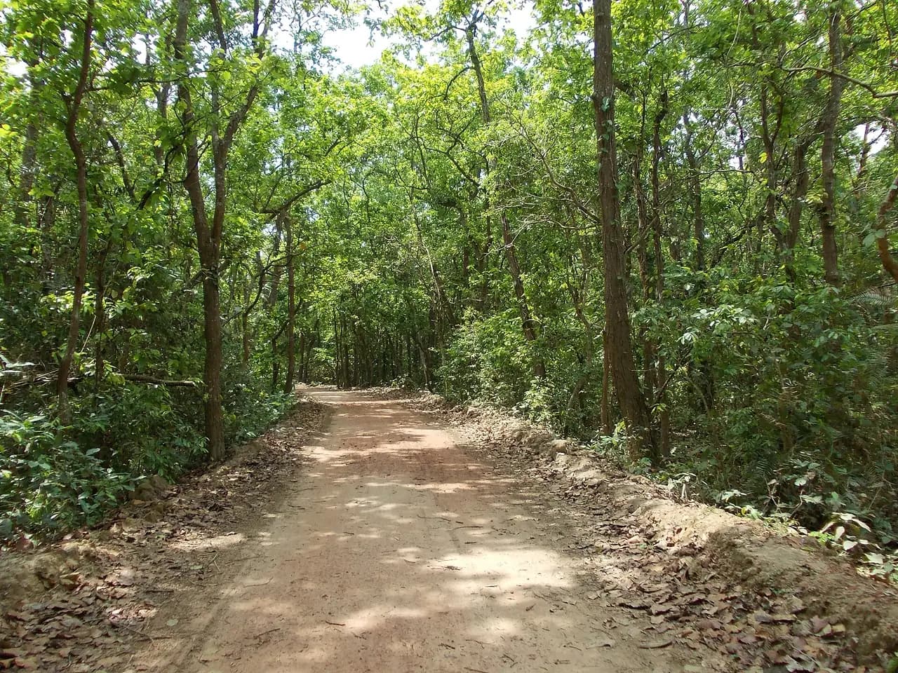 আলতাদিঘি জাতীয় উদ্যান, নওগাঁ