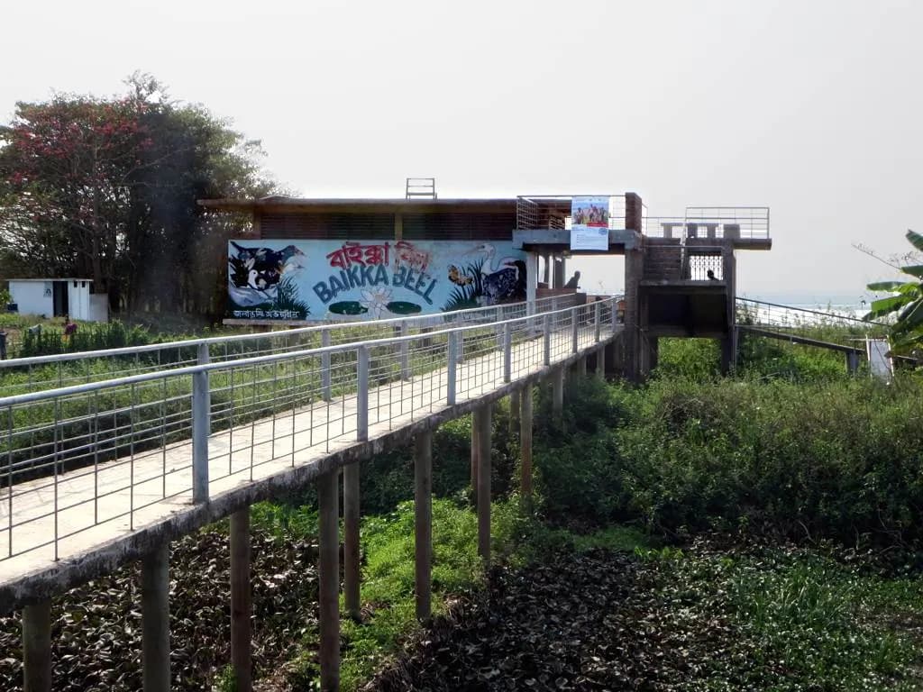 বাইক্কা বিল — ছবি