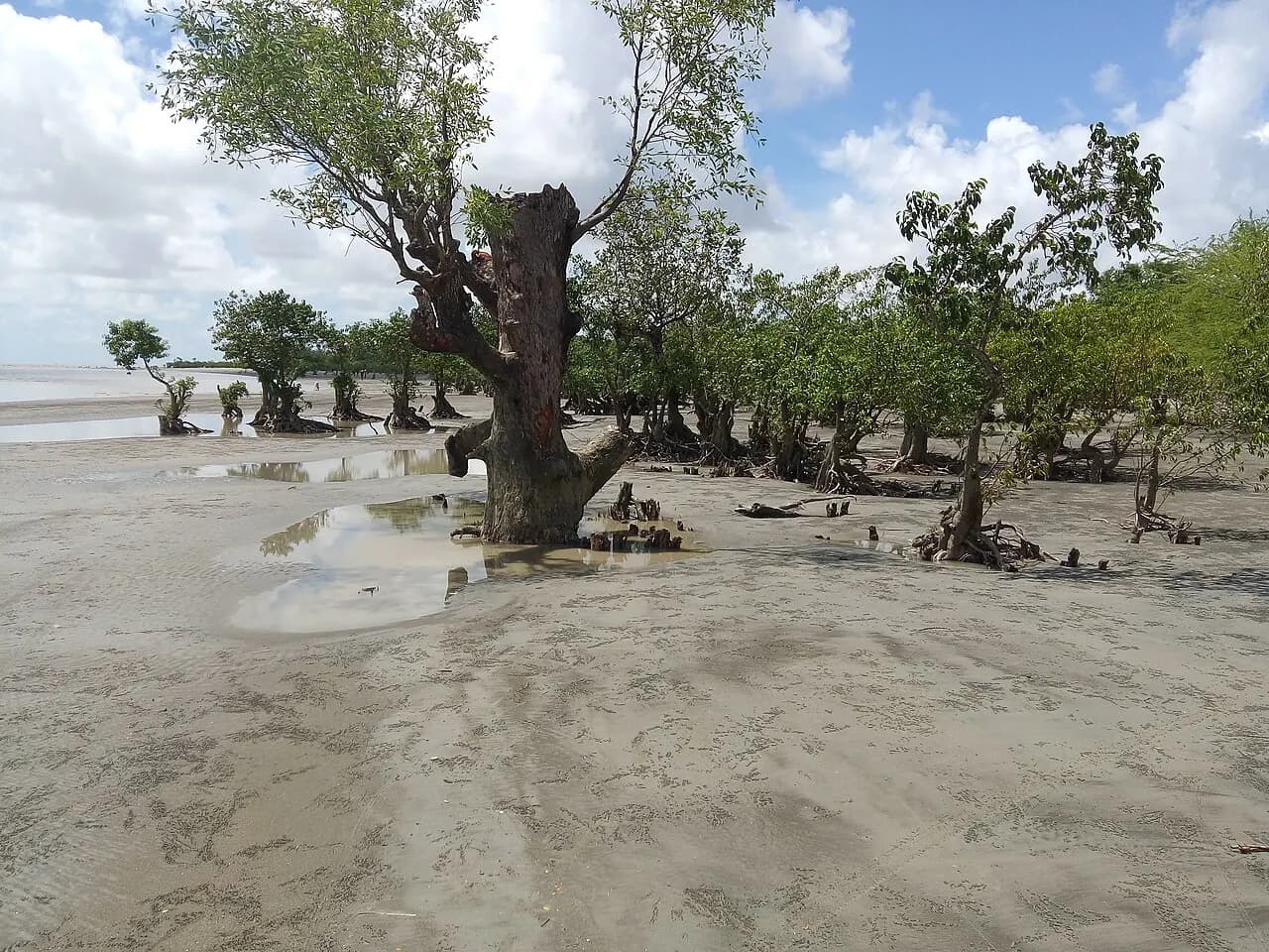 Kuakata National Park — photo