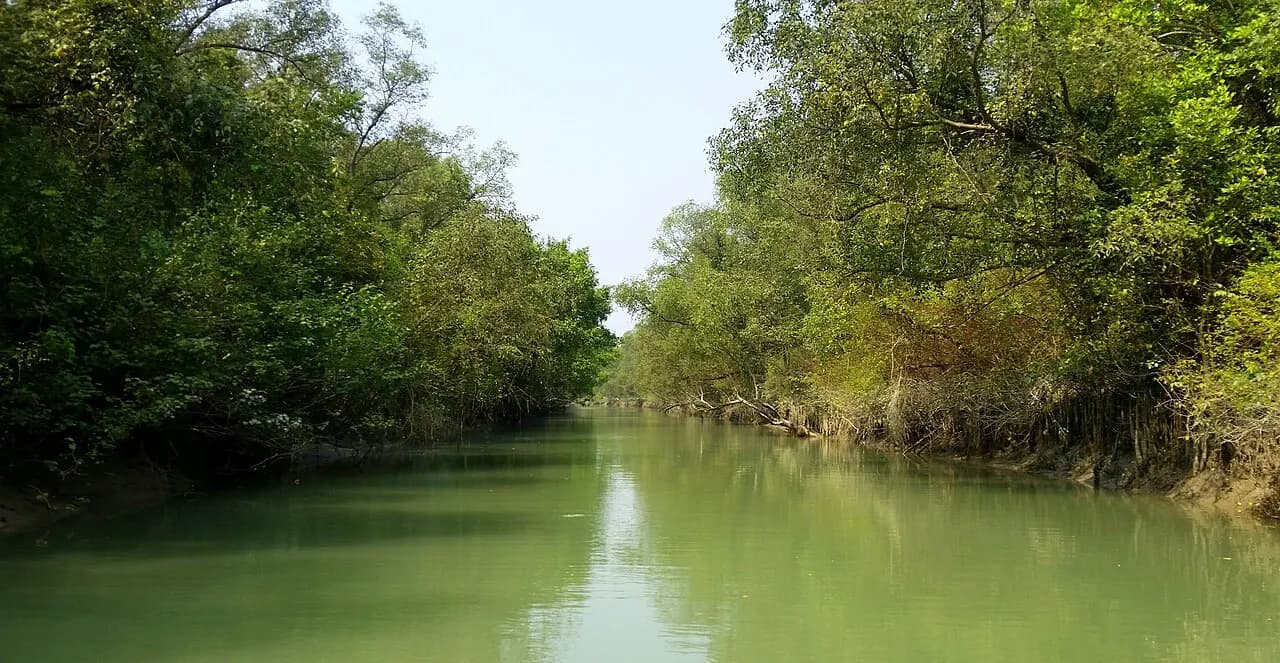 কুকরি-মুকরি — ছবি