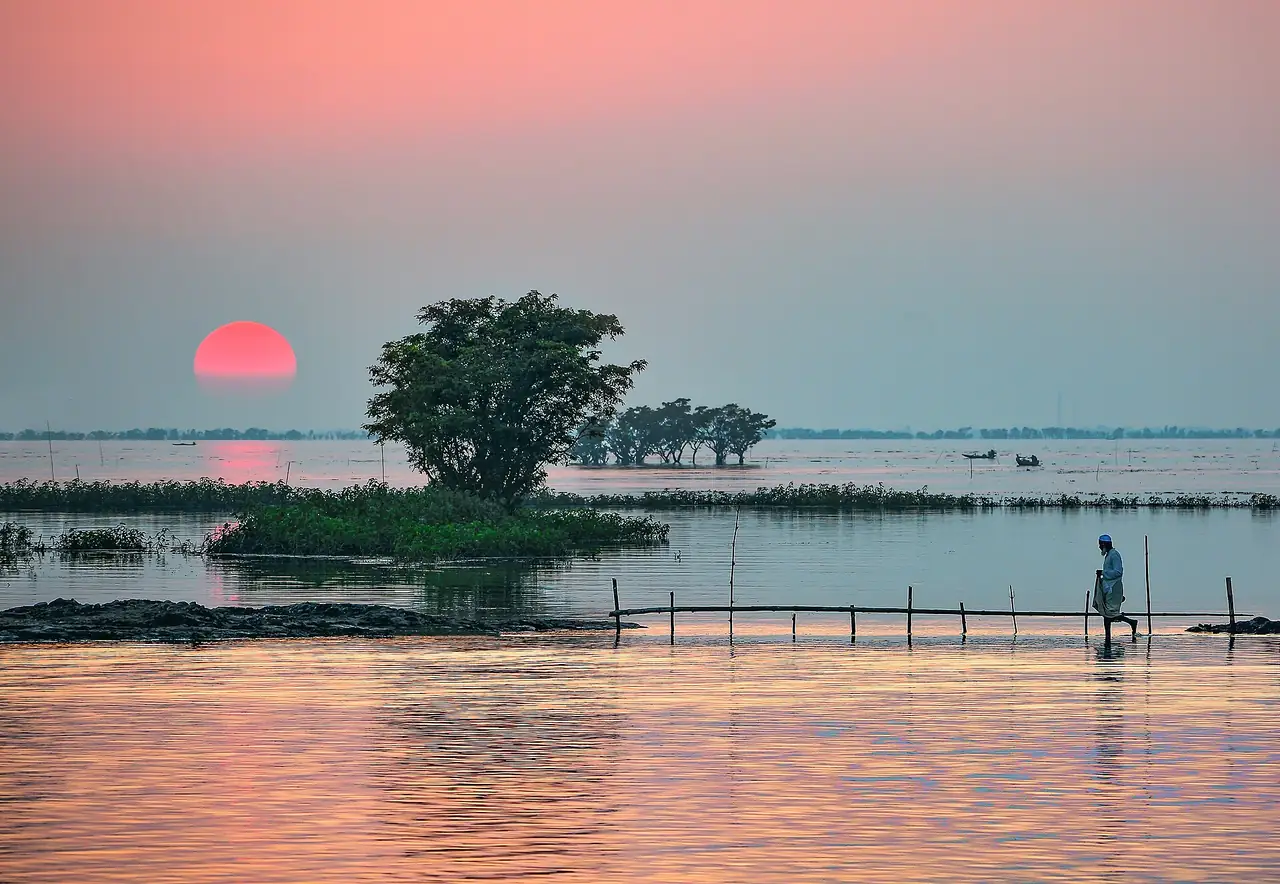 টাঙ্গুয়ার হাওর, সুনামগঞ্জ — Tanguar Haor, Bangladesh